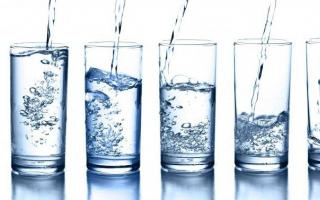 Water, its importance in the life of living organisms