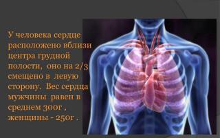 Sydän- ja verisuonijärjestelmä