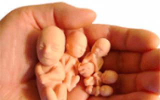 Hamileliğin tıbbi olarak sonlandırılması - etkililik ve riskler